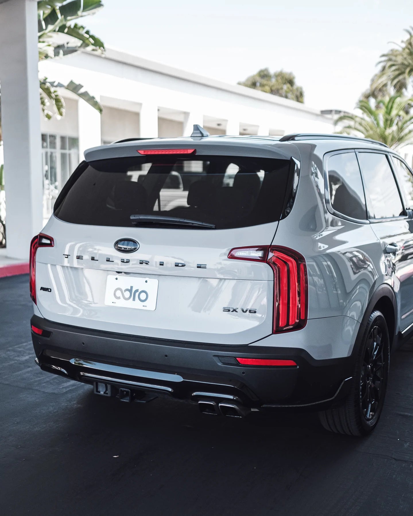 Kia Telluride Carbon Fiber Rear Winglets